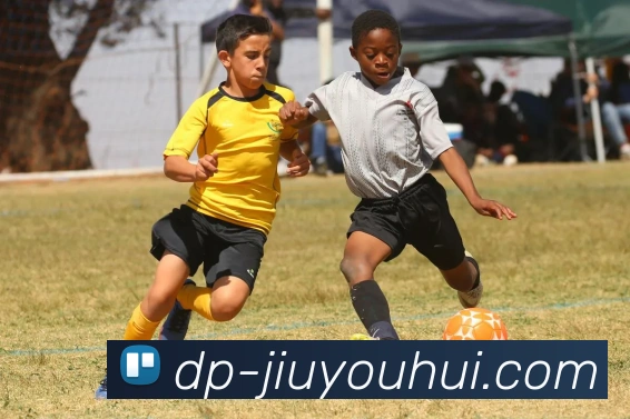 九游会J9官网发展历程